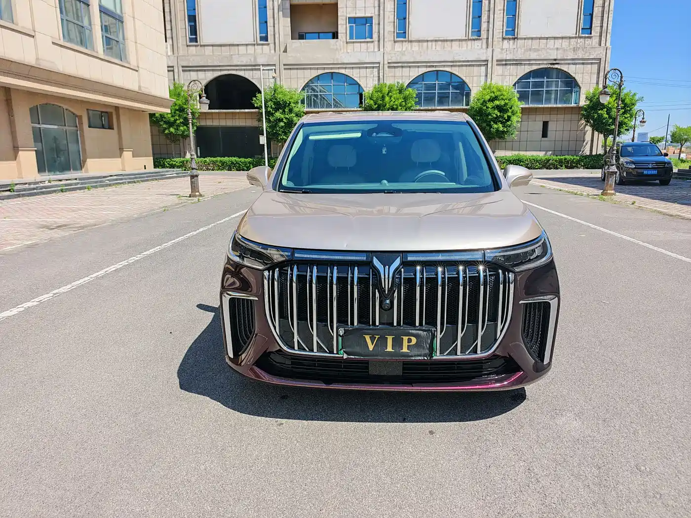 Voyah Auto Voyah Dreamer 2022 Low-carbon Dream+Smart Package фото 2