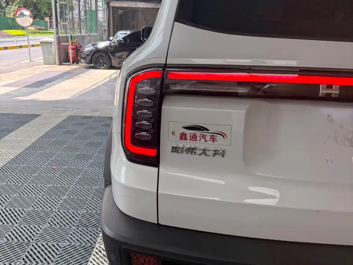 Haval Big Dog 2022 1.5T DCT FWD Border Collie Edition фото 16