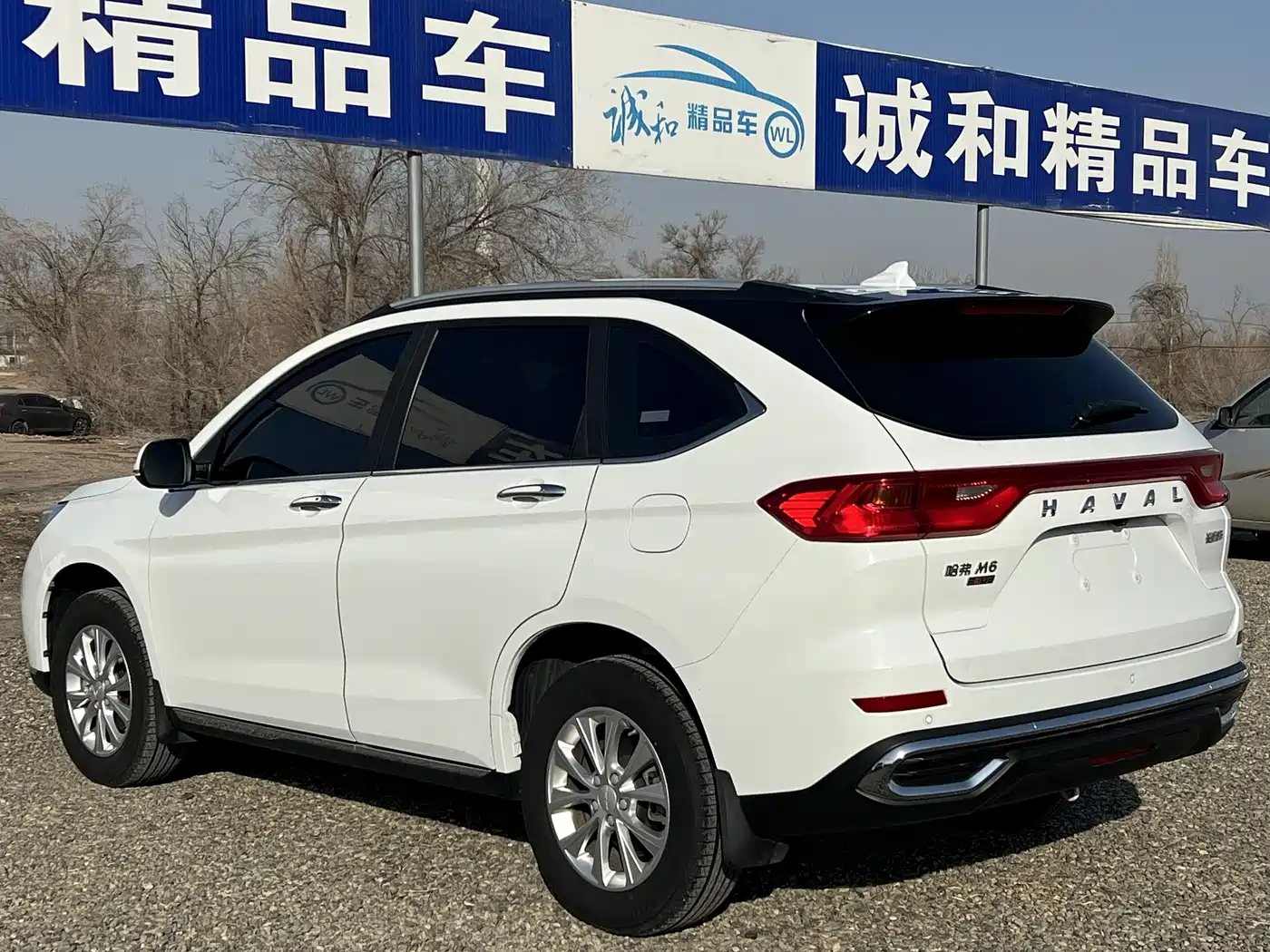 HAVAL M6