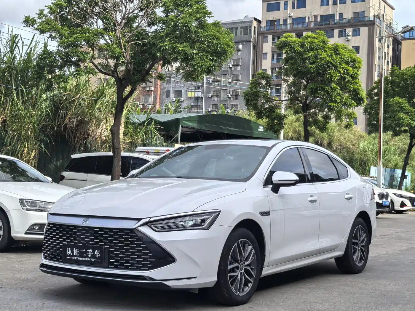 BYD Qin PLUS 2023 Champion Edition DM-i 120KM Leading Type