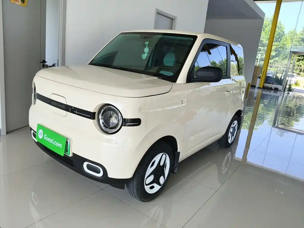 Geely Galaxy Panda 2025 Panda mini 210km Vitality Bear