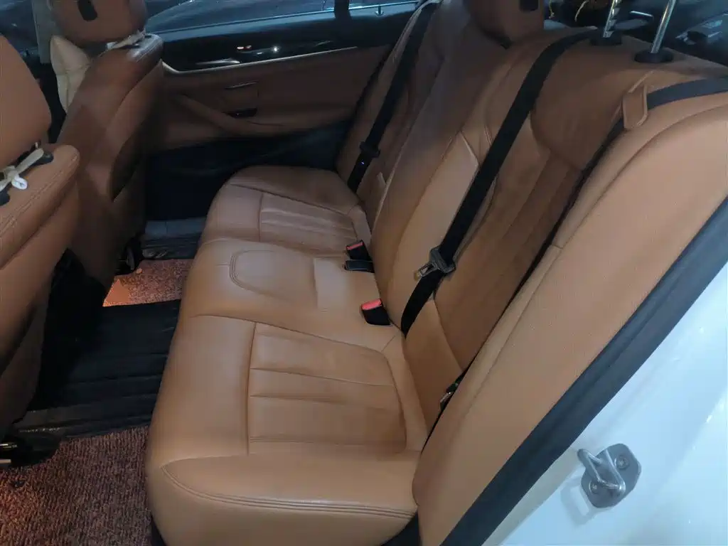 BMW 5 Series 2018 528Li Launch Special Edition фото 13