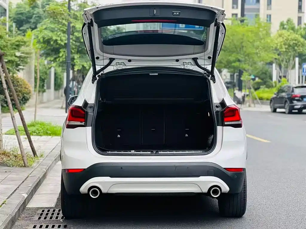 BMW X1 2021 Facelift sDrive25Li Leading фото 6
