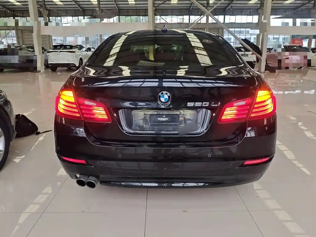 BMW 5 Series 2014 520Li Elegance фото 5
