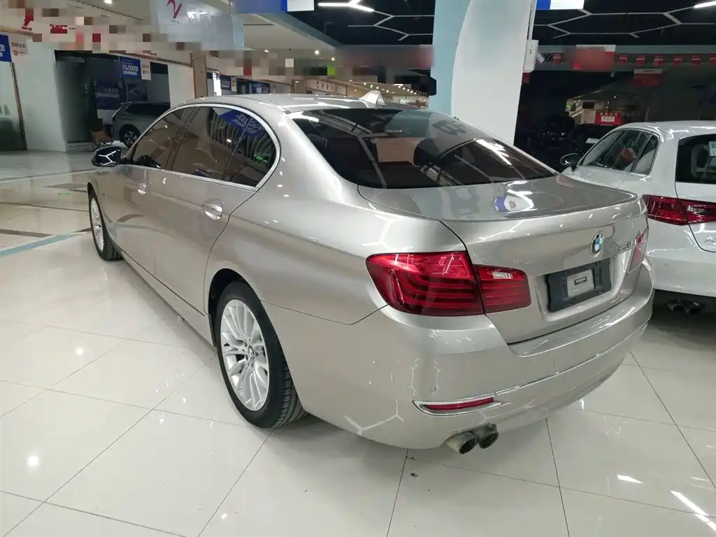 BMW 5 Series 2014 525Li Luxury Design Package фото 23