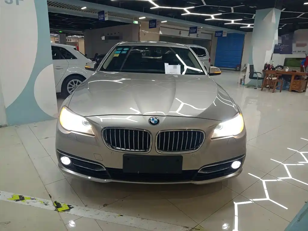 BMW 5 Series 2014 525Li Luxury Design Package фото 3