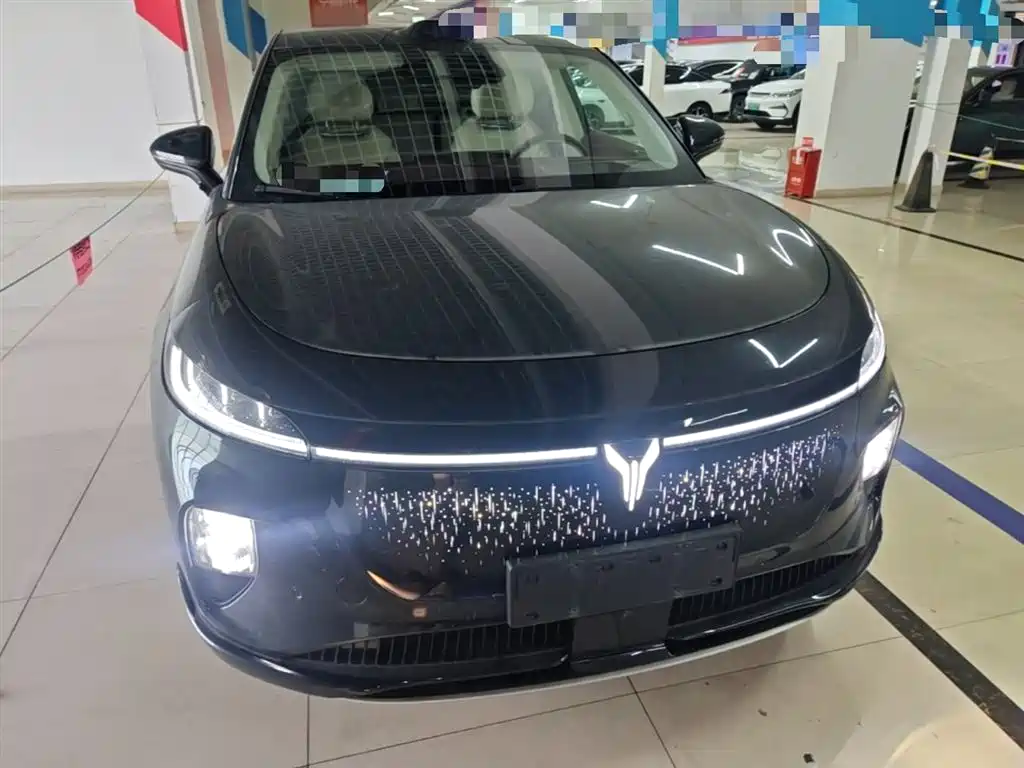 Voyah Auto Voyah Zhiyin 2025 Base фото 3