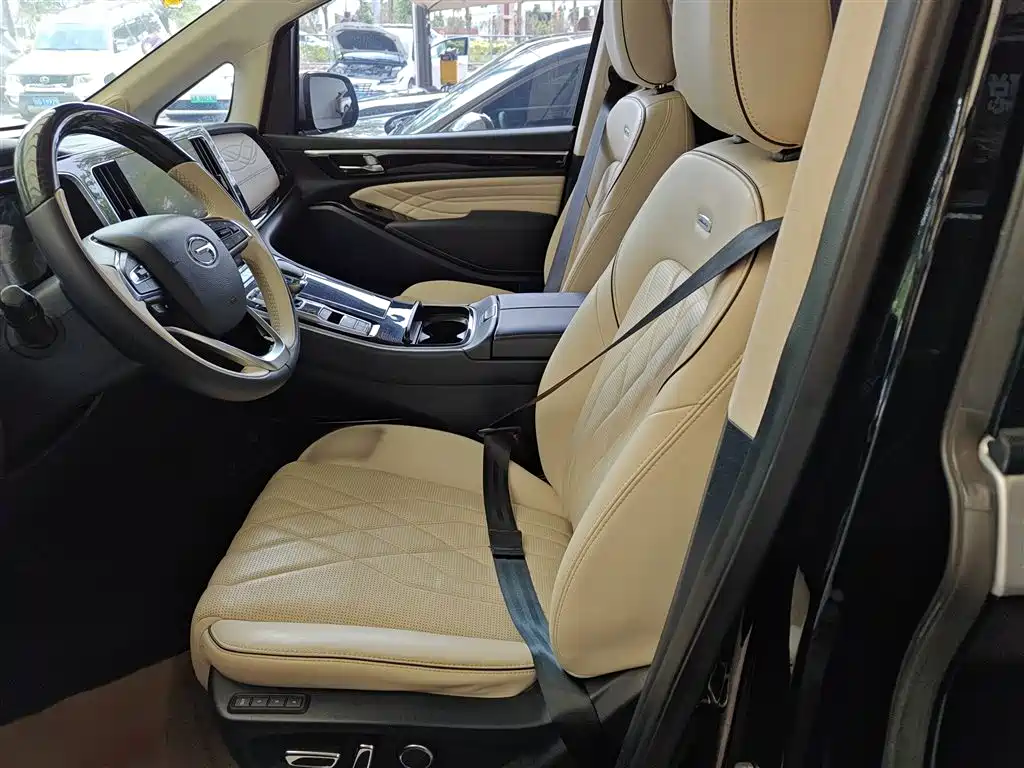 GAC Trumpchi Trumpchi M8 2021 Master Series 390T 4-Seat Premium Edition фото 12
