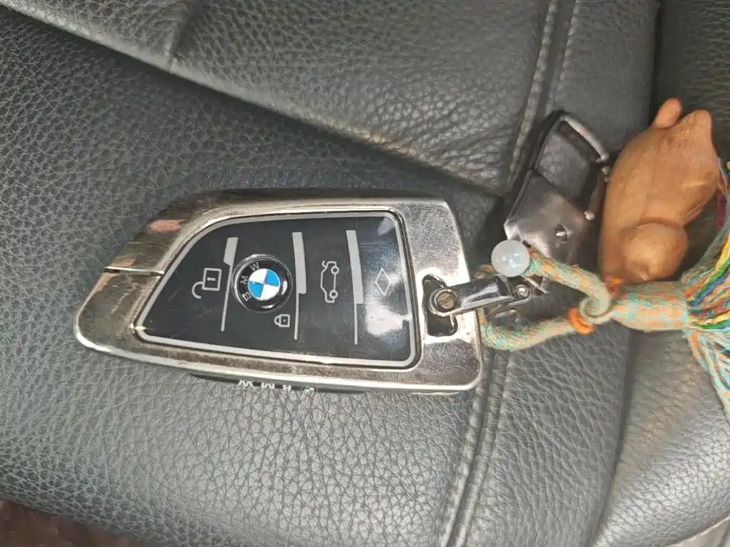 BMW 5 Series 2018 528Li Launch Special Edition фото 9