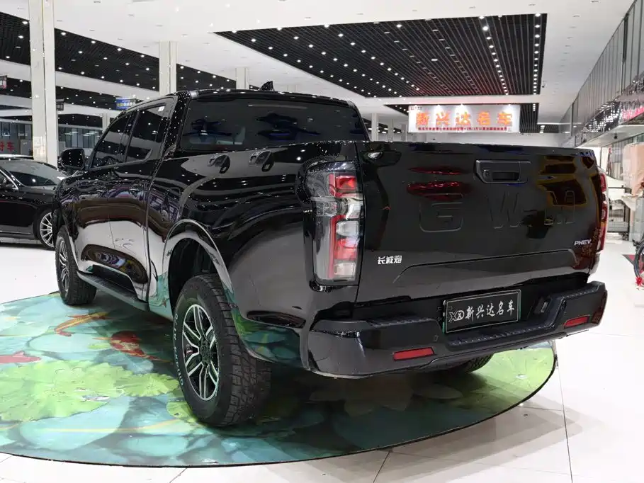 Фото 4 - Great Wall Poer EV