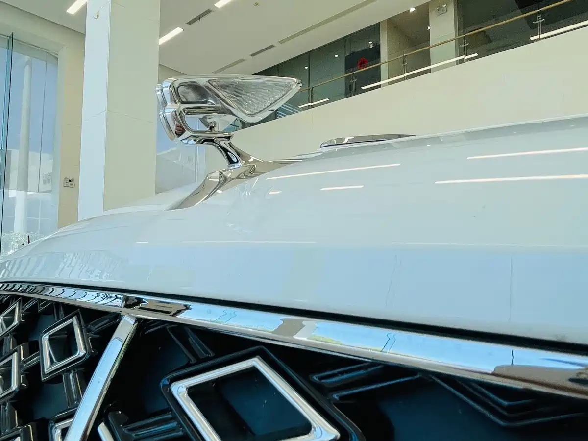 BENTLEY FLYING