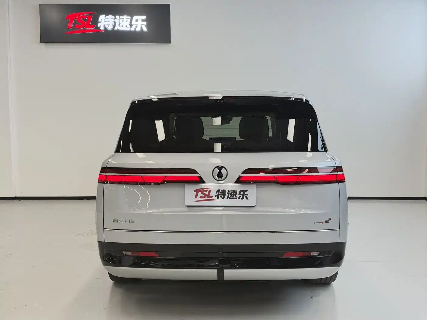 Denza N9 2025 2025 Model Prestige Edition