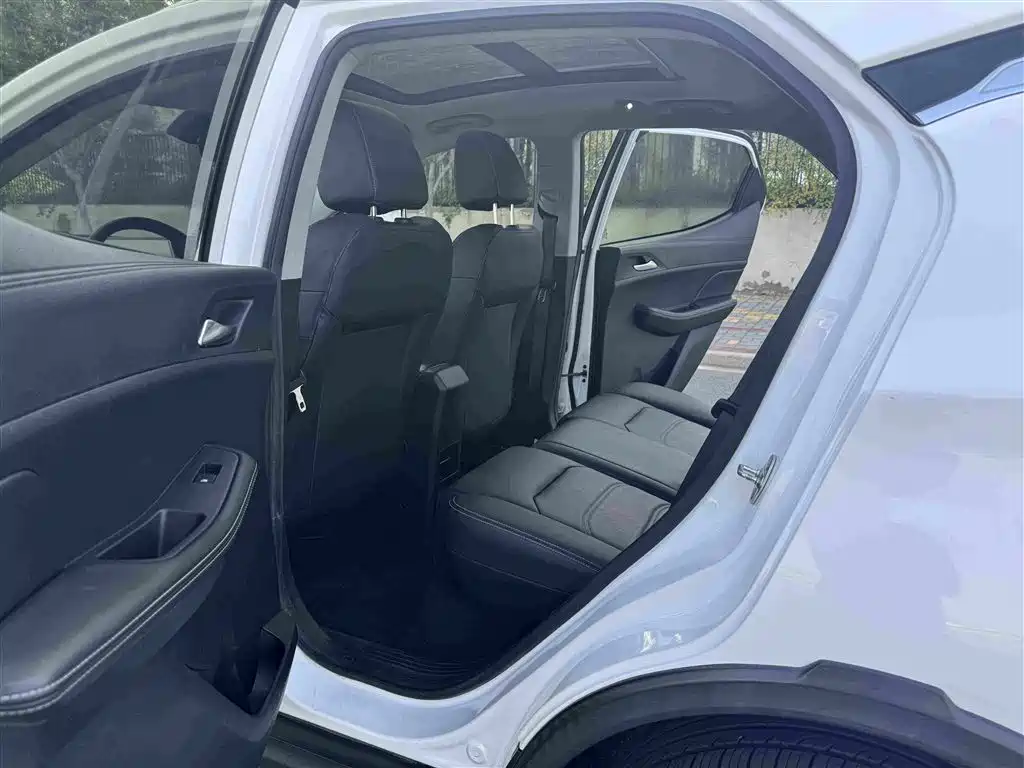 BYD Yuan New Energy 2019 2019 EV535 High Energy Navigation Edition