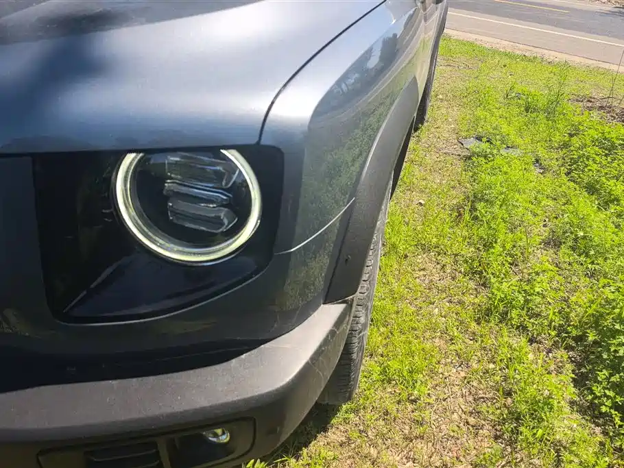 Haval Big Dog 2021 1.5T DCT 2WD Border Collie Edition фото 5