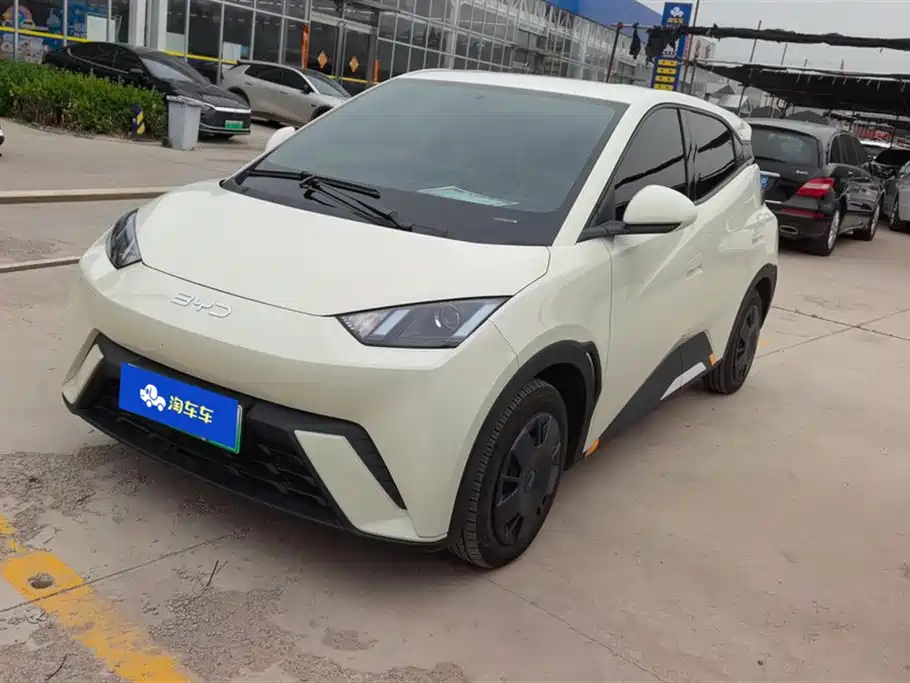BYD Seagull 2025 Smart Drive Edition 305km Vitality Version
