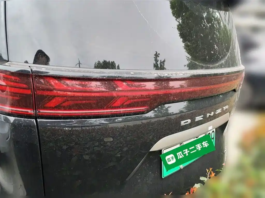 Denza D9 2024 DM-i 980 AWD Prestige фото 10