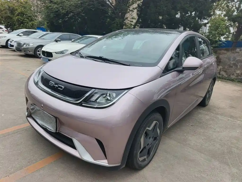 BYD Dolphin 2021 Model 405km Fashion Edition
