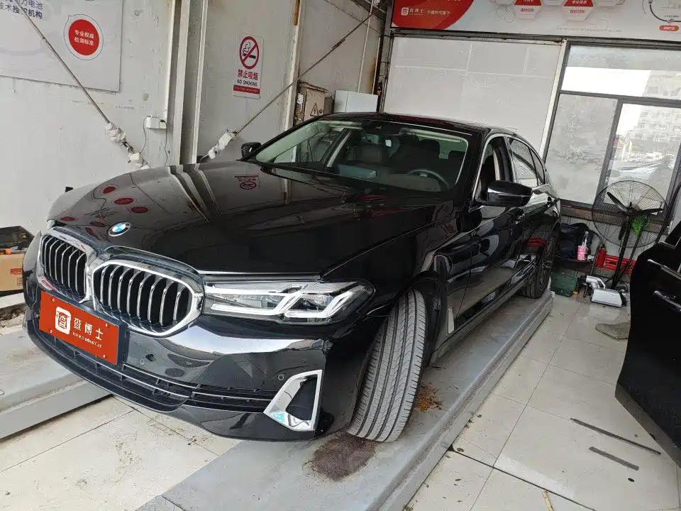 BMW 5 Series 2021 530Li Leading Luxury Package