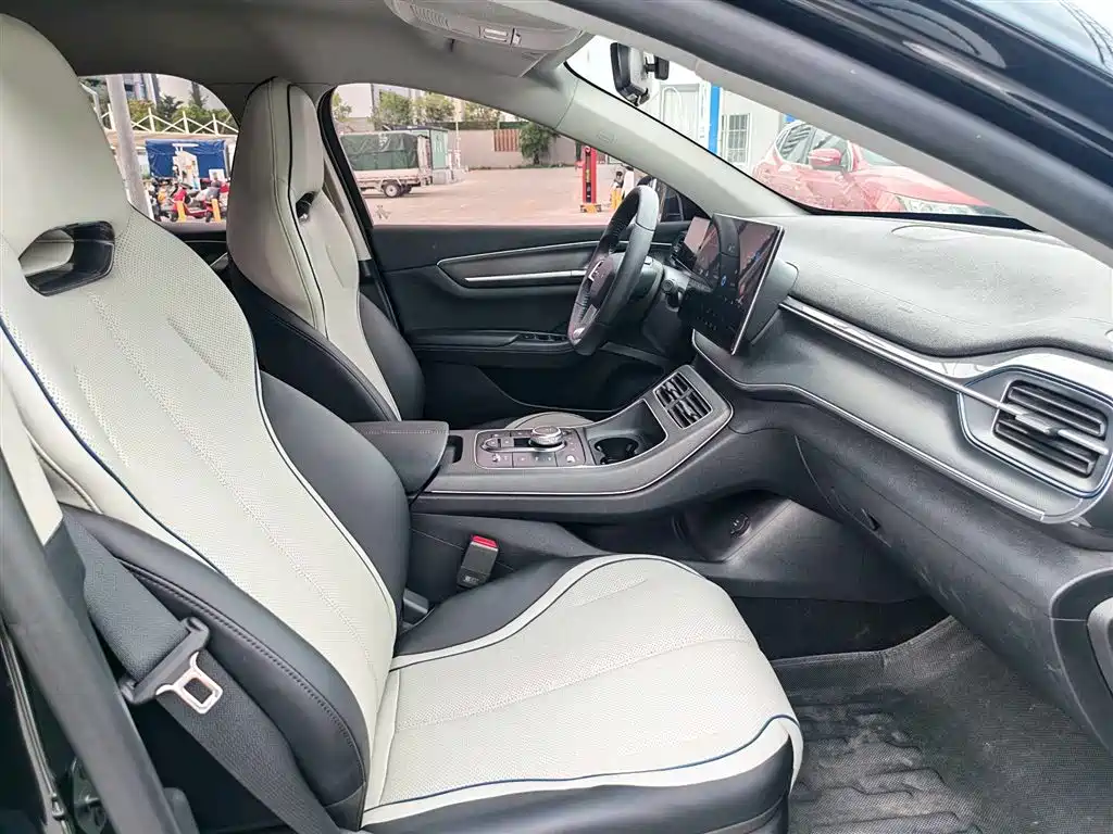 BYD Qin PLUS 2024 Glory Edition DM-i 55KM Leading фото 4