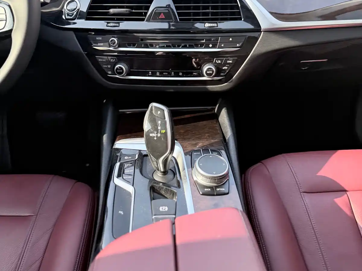 BMW 5 Series 2018 528Li Launch Special Edition фото 6