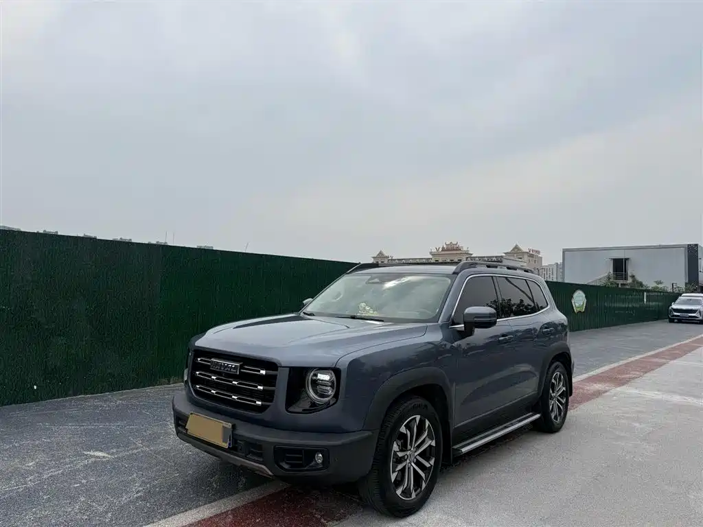 Haval Big Dog 2021 1.5T DCT 2WD Border Collie Edition