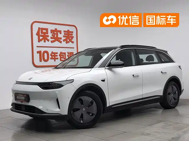  Leapmotor Leapmotor C11 2021 Luxury Edition