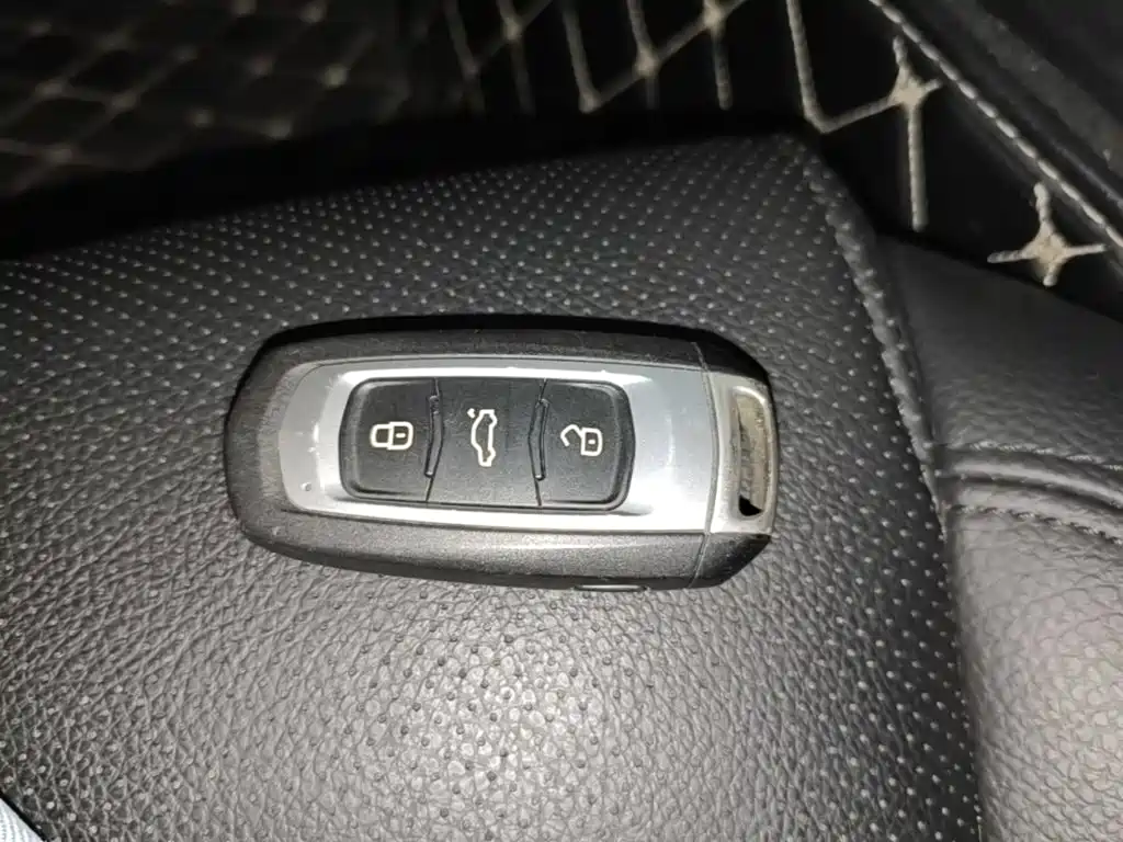 Фото 9 - Geely Borui