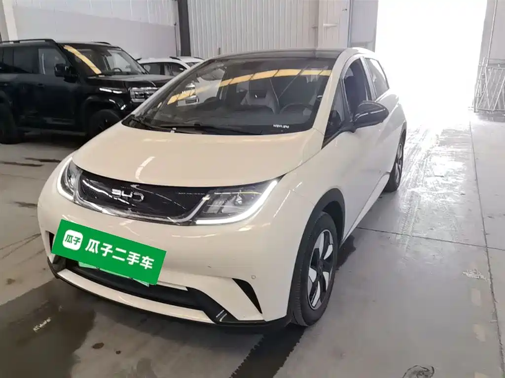 BYD Dolphin 2024 Glory Edition 420km Fashion Edition