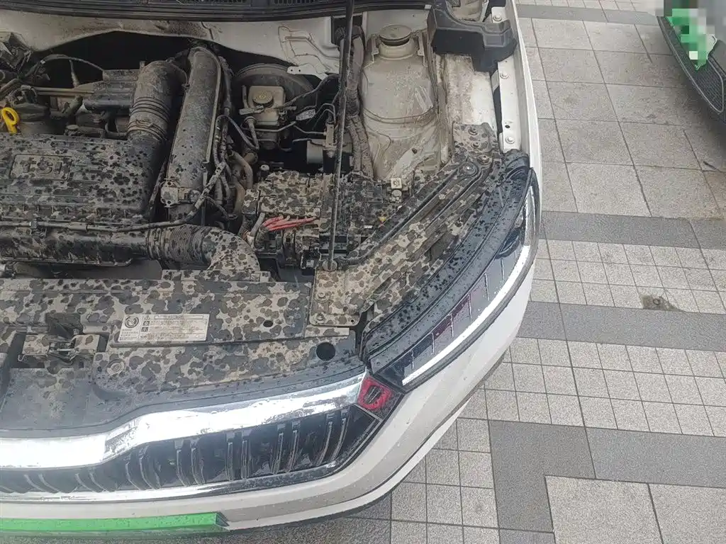 Škoda Kamiq 2020 GT TSI230 DSG Flagship Edition China VI фото 22