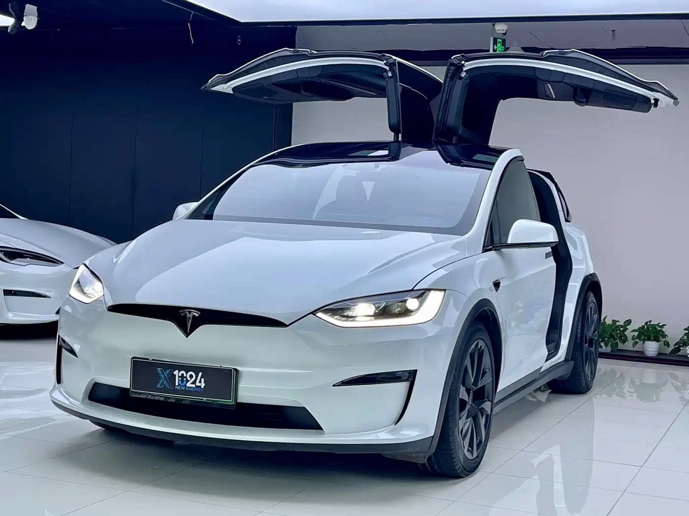 Tesla Model X 2023 Dual Motor All-Wheel Drive Edition