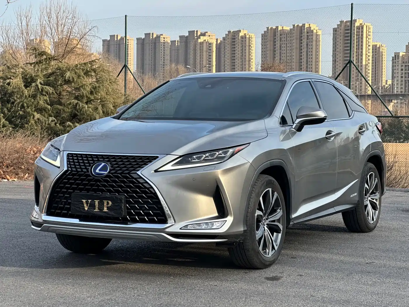 LEXUS RX