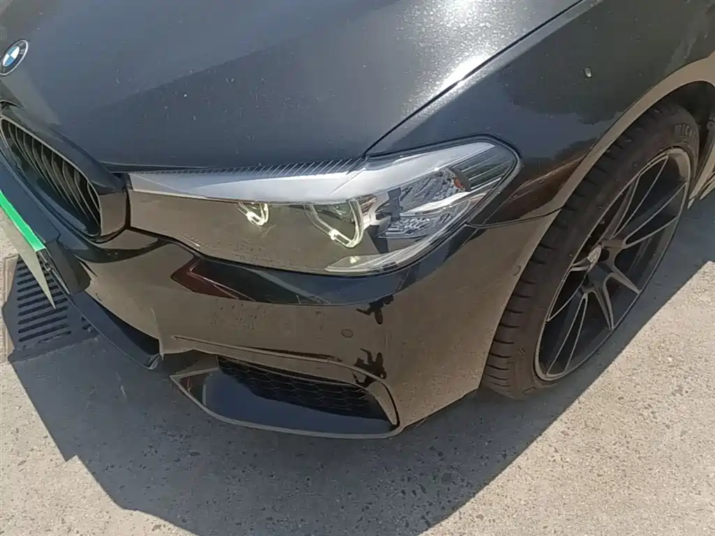 BMW 5 Series 2019 530Li Leading M Sport Package фото 24