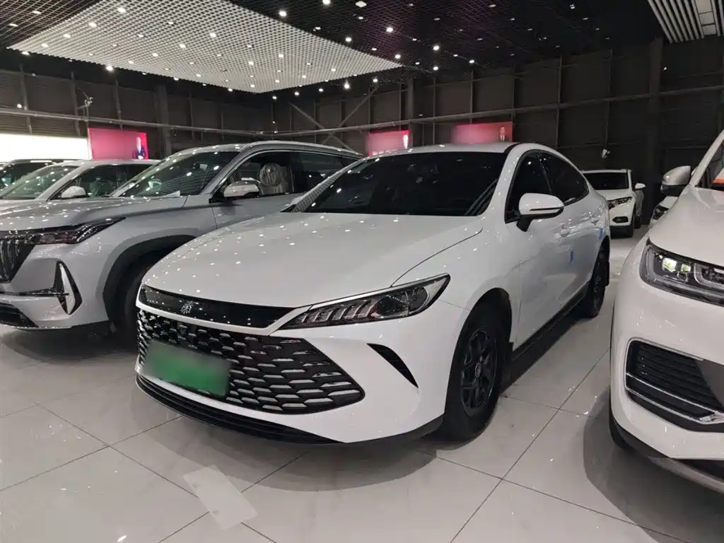 BYD Qin PLUS 2025 DM-i Smart Drive 55KM Leader