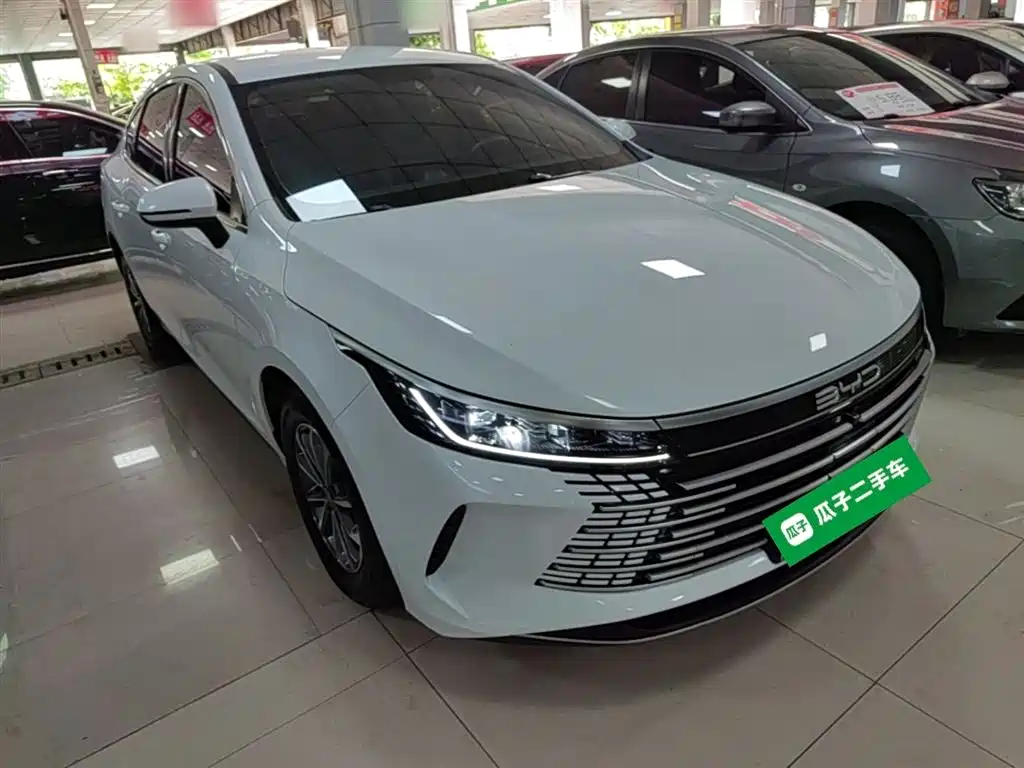 BYD Destroyer 05 2024 Glory Edition DM-i 55KM Luxury фото 4