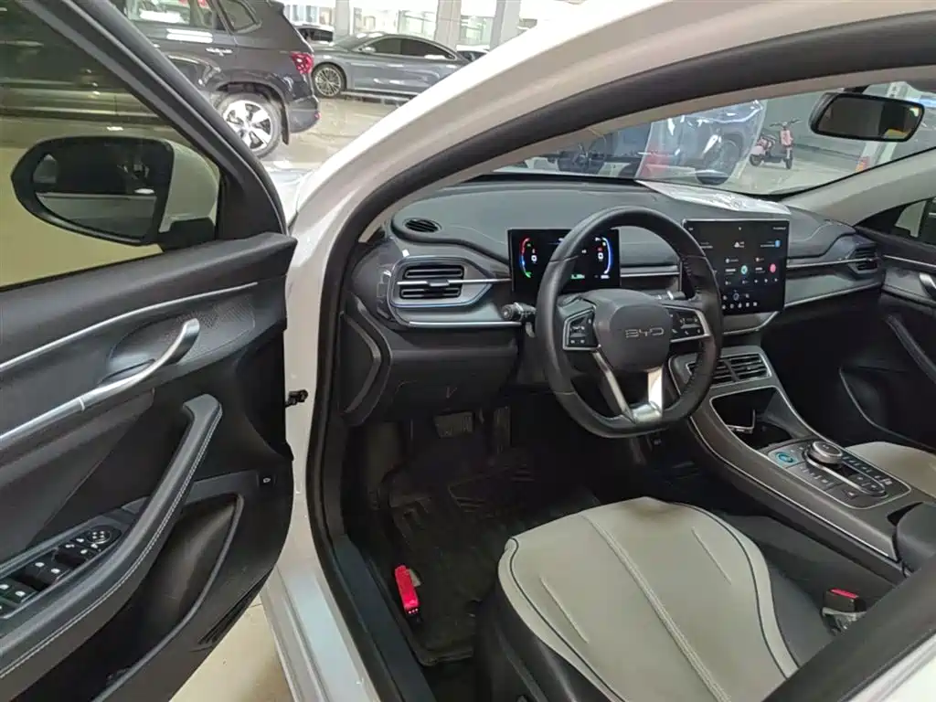 BYD Destroyer 05 2024 Glory Edition DM-i 55KM Luxury фото 16