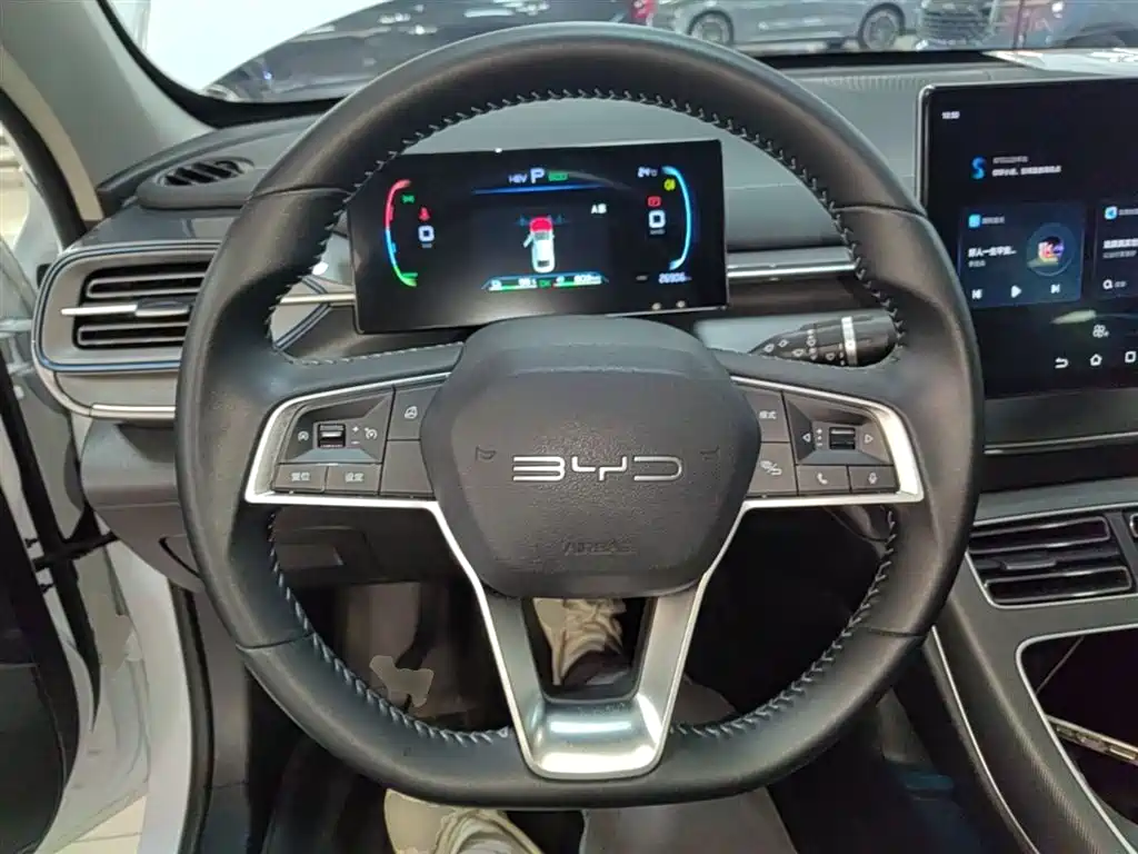 BYD Destroyer 05 2024 Glory Edition DM-i 55KM Luxury фото 11