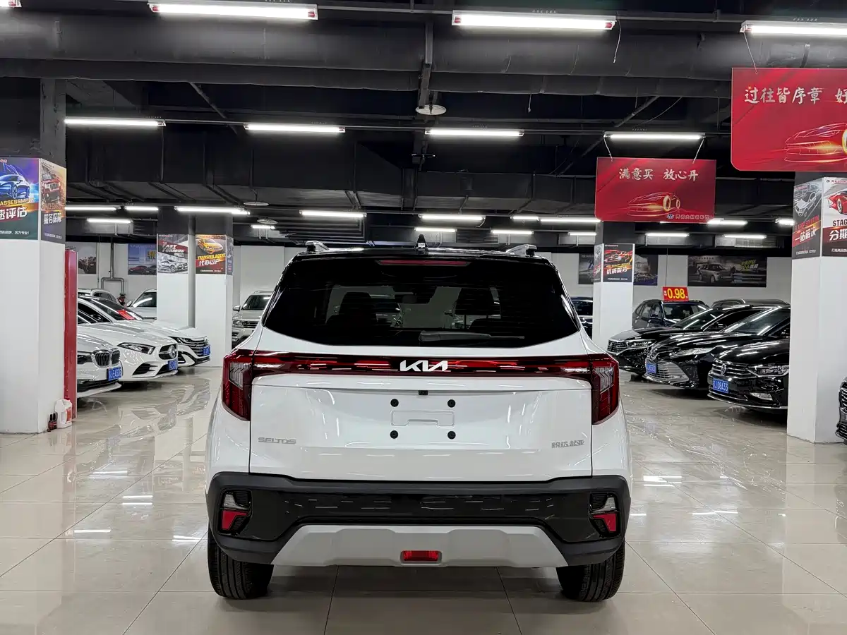 Kia Seltos 2026 1.5L IVT Luxury Edition фото 7