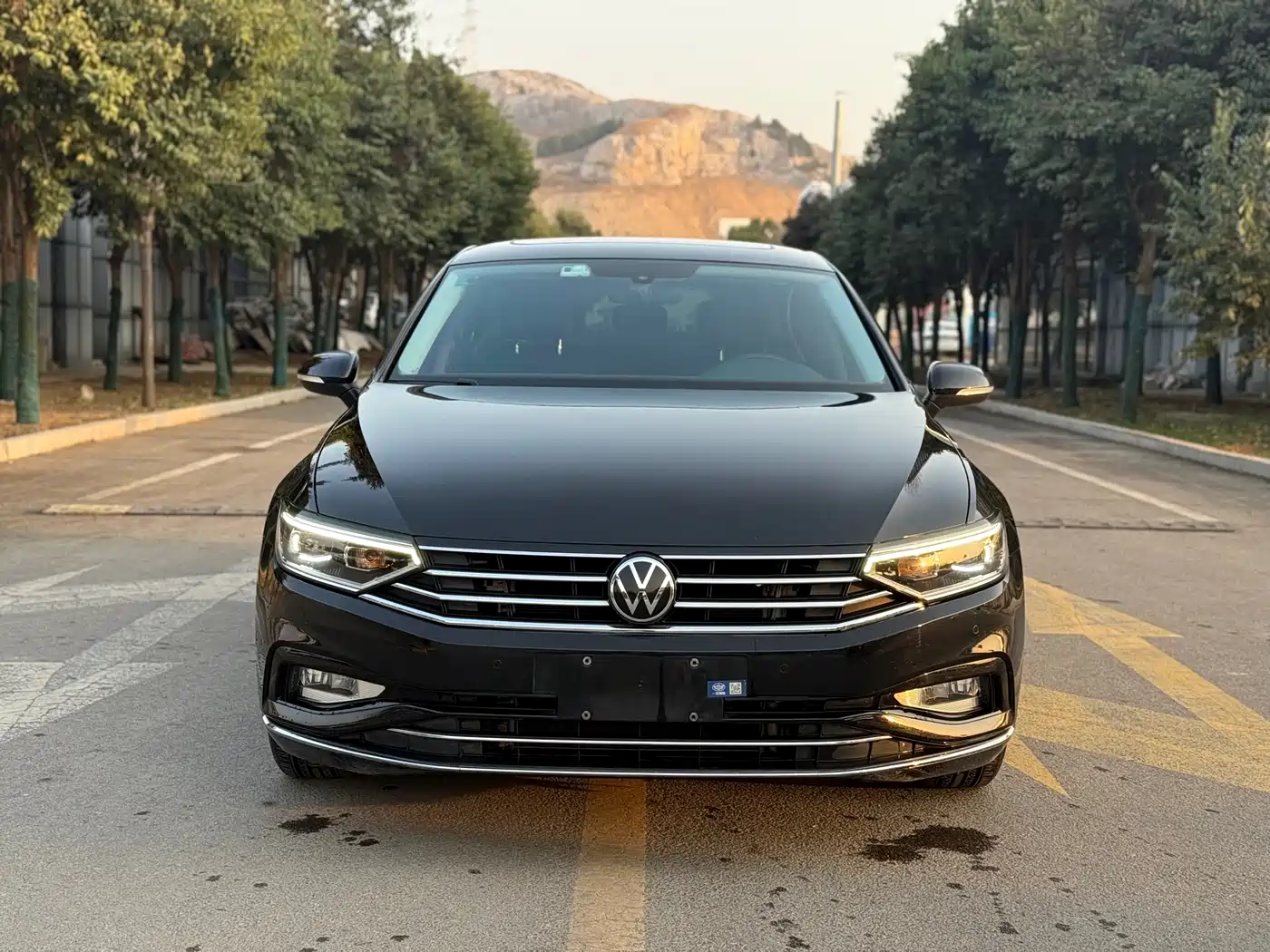 Volkswagen Magotan 2020 330TSI DSG Leading фото 2