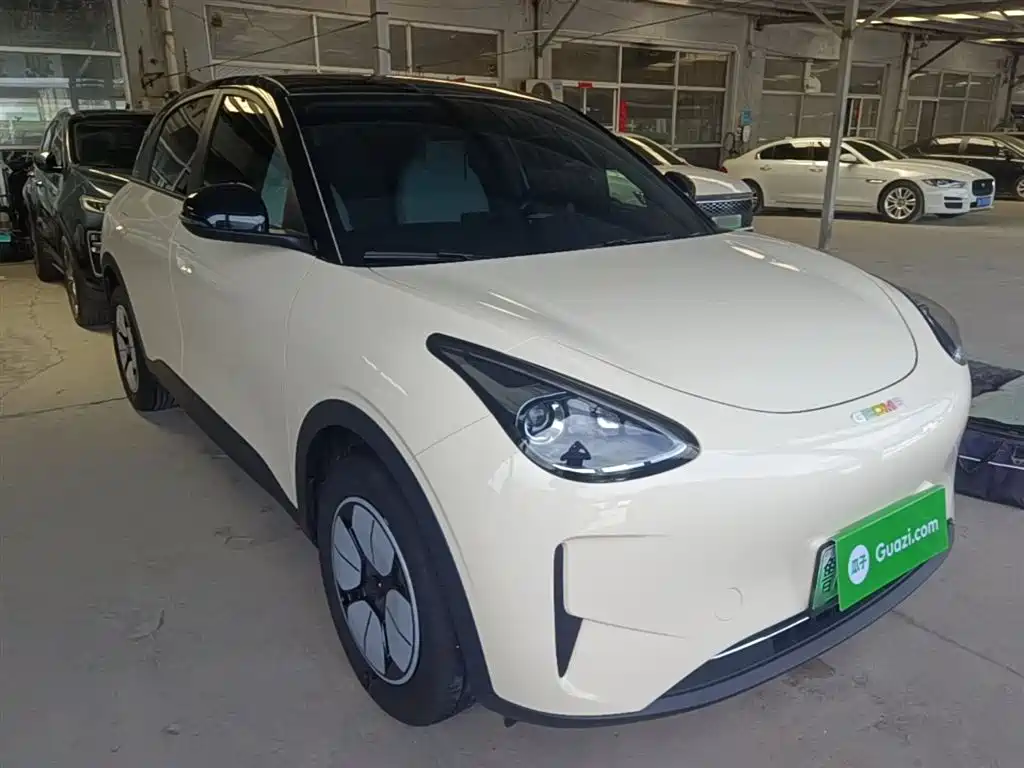 Geely Galaxy Starry Wish 2026 Edition 310km Youth Version фото 4