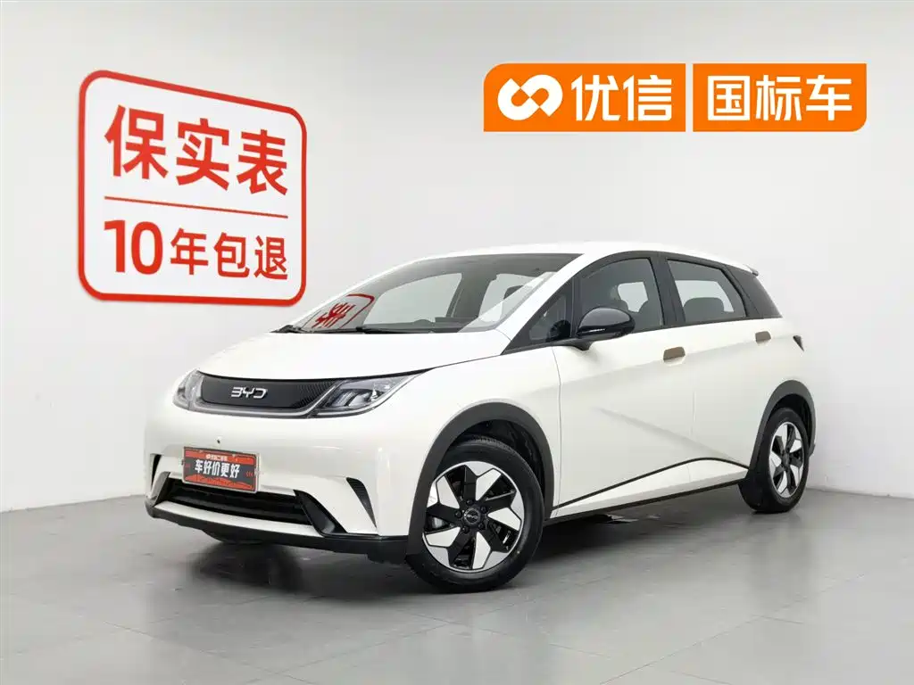 BYD Dolphin 2025 420km Freedom Edition