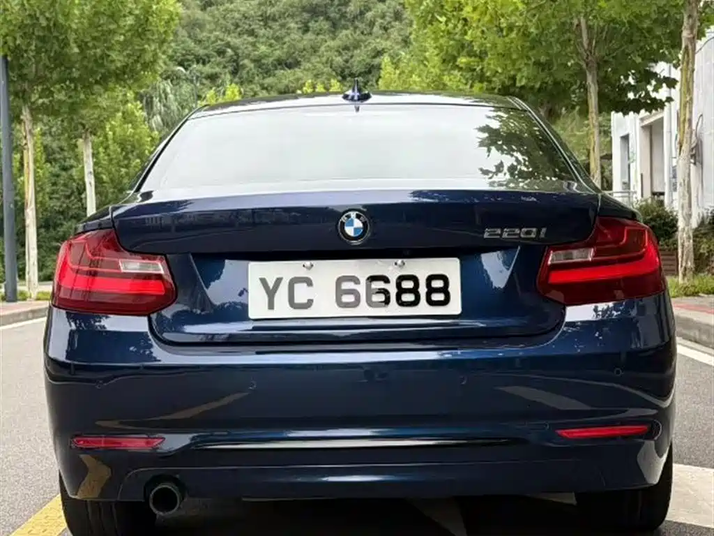BMW 2 Series (Import) 2014 220i Leading фото 7