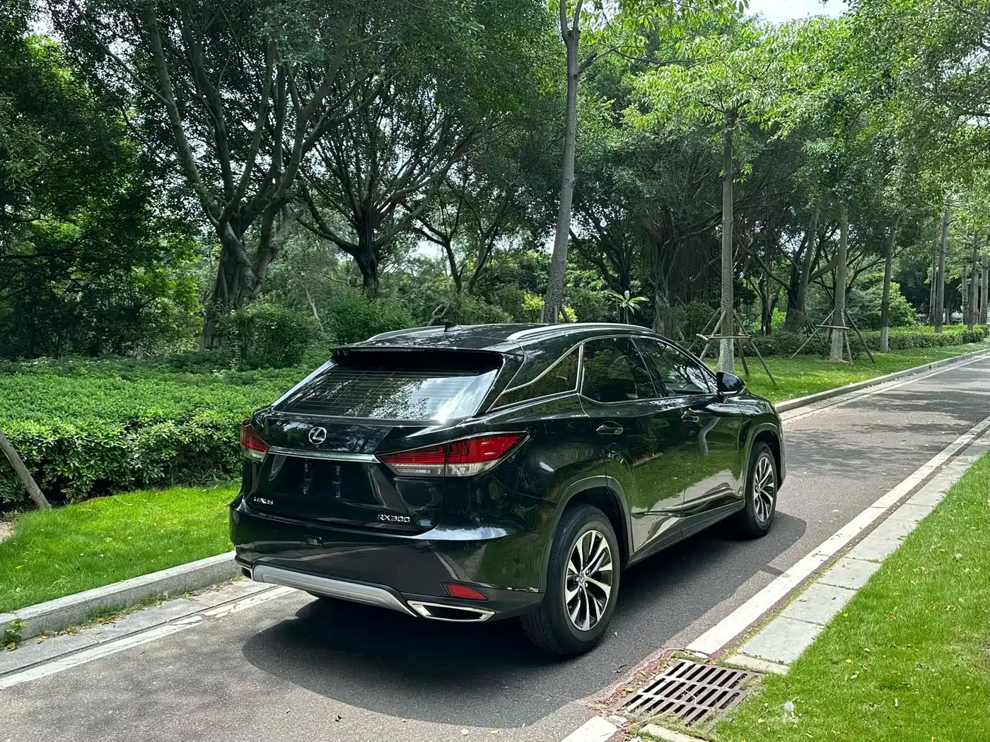 Lexus RX 2020 300 2WD Elite Edition China VI фото 7