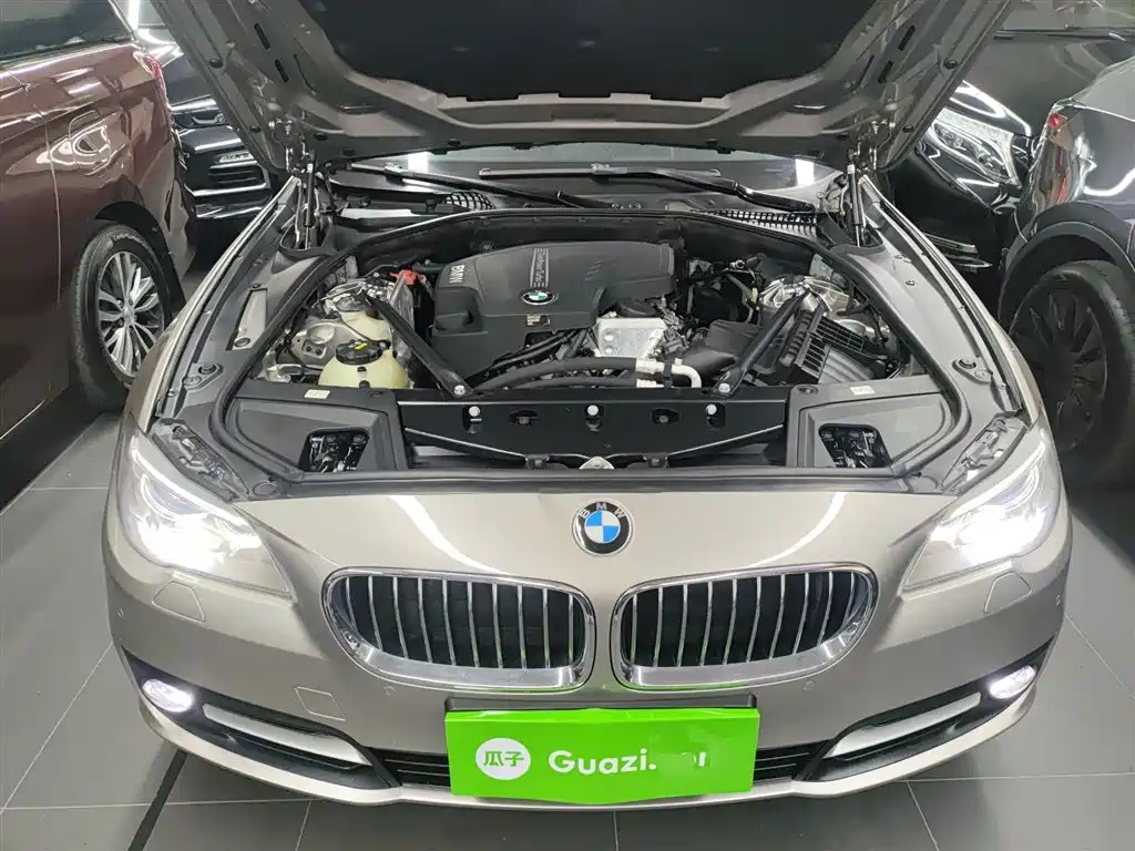 BMW 5 Series 2014 520Li Elegance фото 10