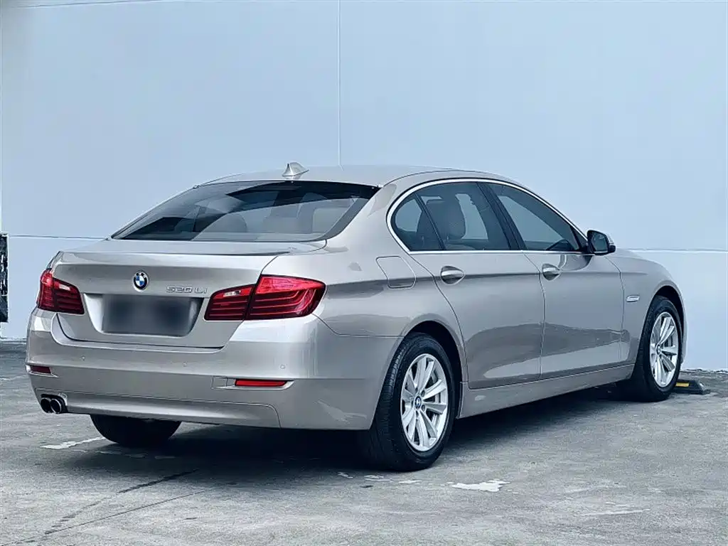 BMW 5 Series 2014 520Li Elegance фото 22