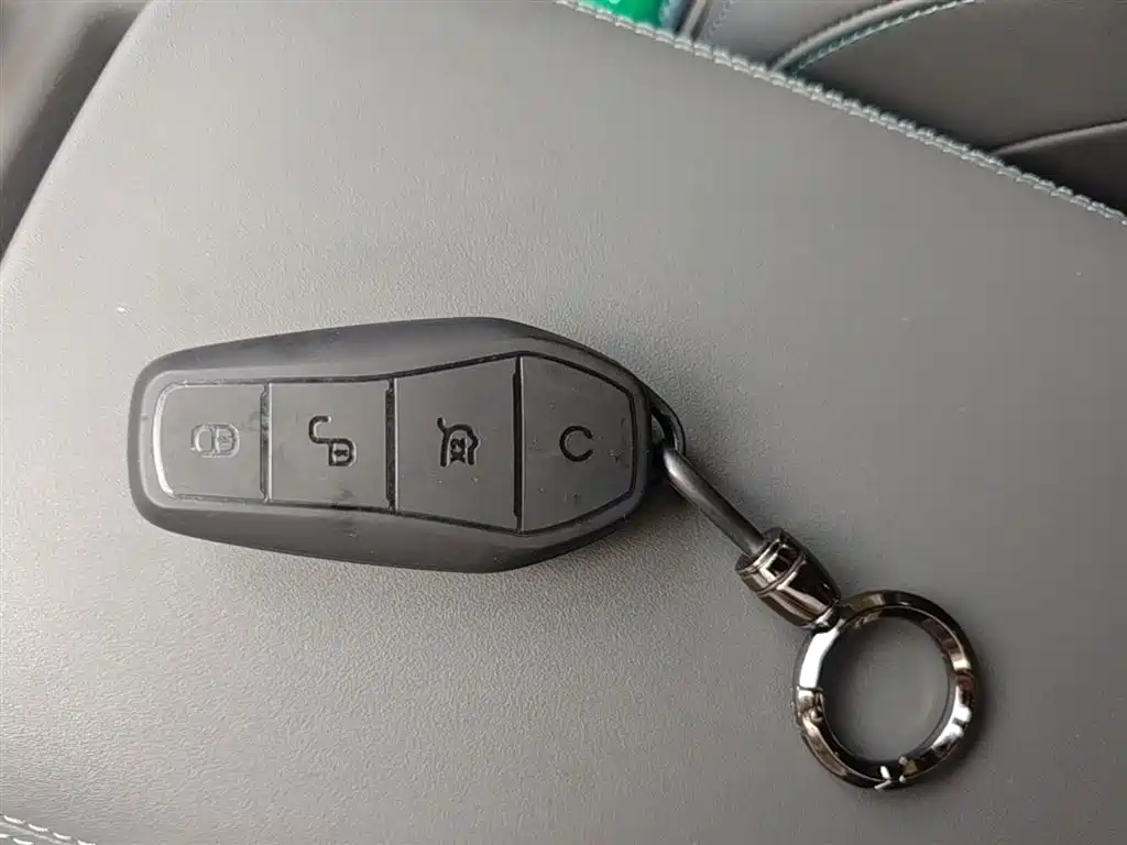 BYD Qin PLUS 2025 DM-i Smart Drive 55KM Leader фото 9