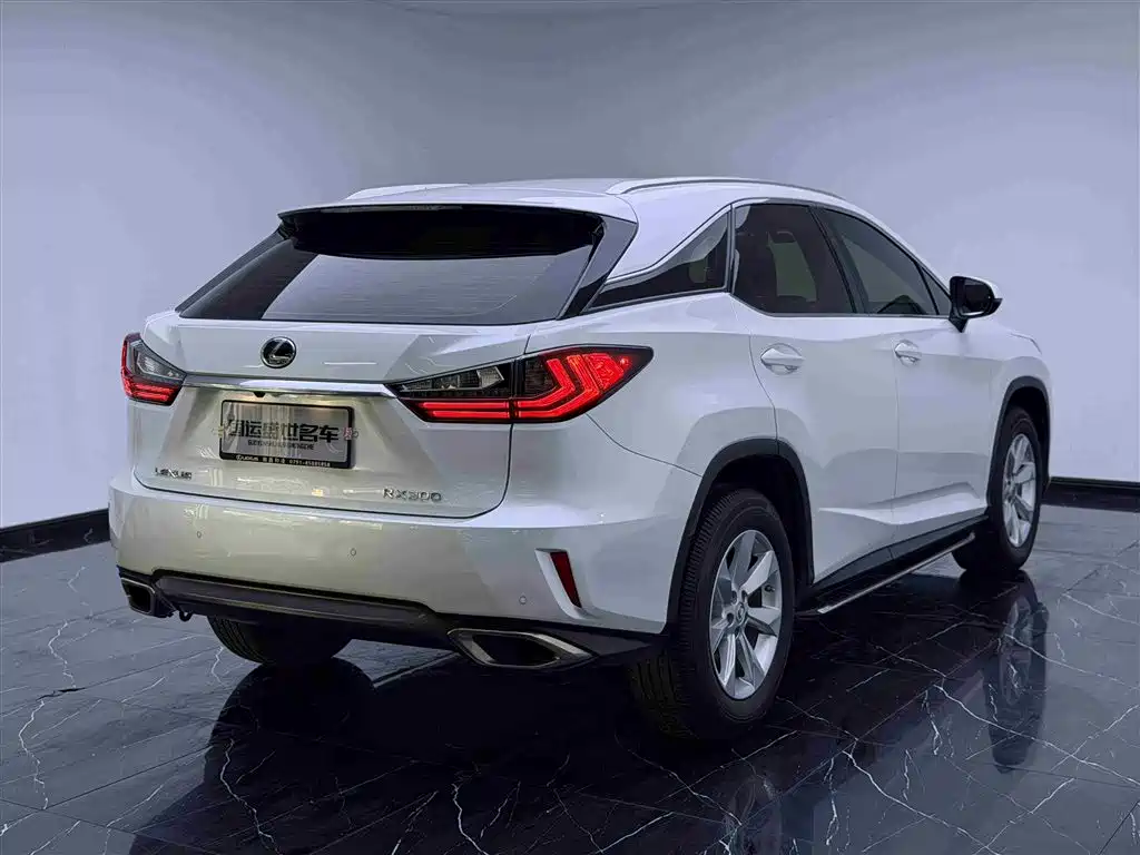 Lexus RX 2016 300 2WD Elite Edition (China V) фото 4