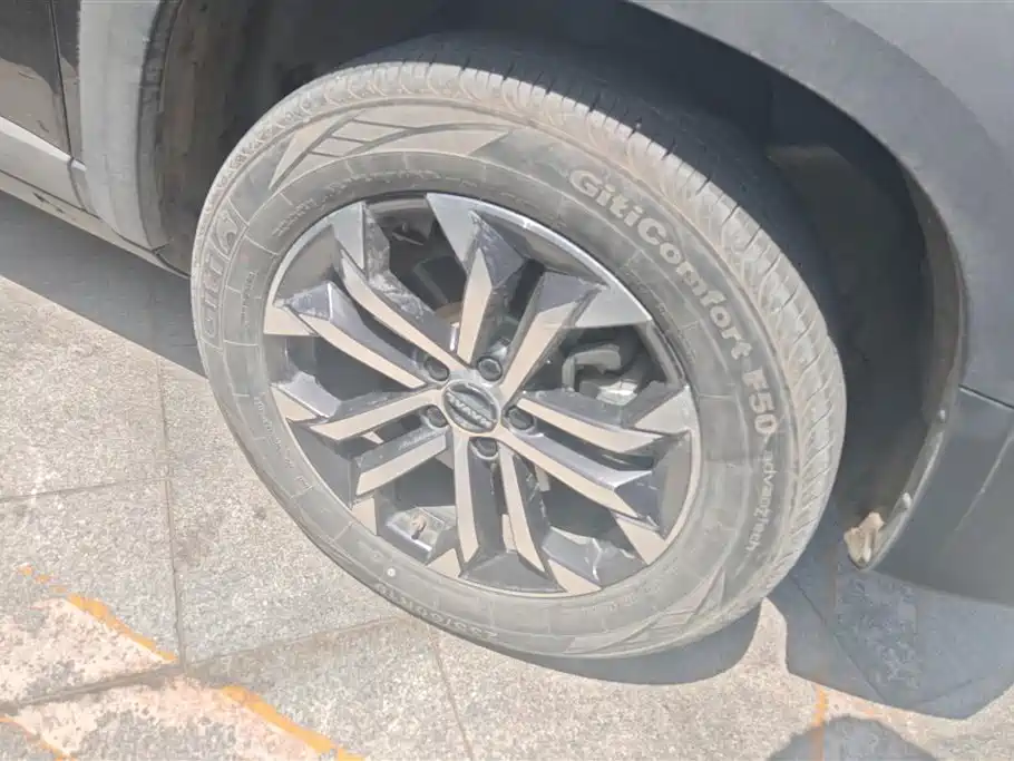Haval Big Dog 2024 1.5T DCT Border Collie Edition фото 6