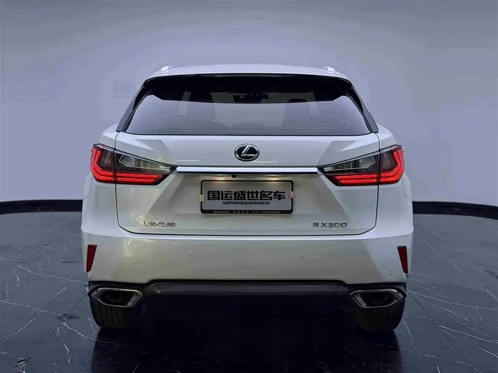 Lexus RX 2016 300 2WD Elite Edition (China V) фото 5
