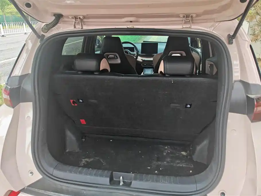 BYD Seagull 2025 305km Freedom фото 4