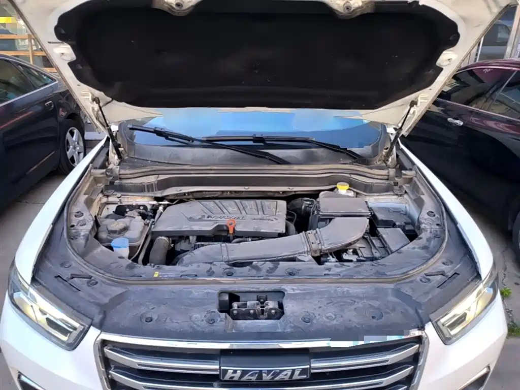 Haval H6 2020 1.5GDIT Automatic Platinum Champion Edition фото 20